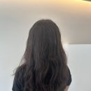 티엔피 | 내돈내산 지웰시티 미용실 청주 에이티엔피 웨딩염색 솔직후기