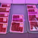 맛찐축산