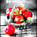 늘푸른건강 이미지