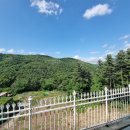 네이쳐펜션3 이미지