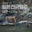 뽑아죠 | 영국 BBC 방송에 나와 유명해진 몽키 파크 [일본전국일주18] 가을 방문 후기