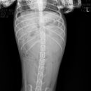 해비치동물병원 이미지