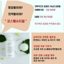 포유인셀덤 네이버블로그