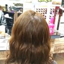 줄리아 장헤어