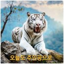 사월 이미지
