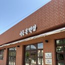 이천떡집 - 이천시 영창로 158-1 | [내돈내산] 남해 이동복 떡집 후기 (쑥몽실이, 유자생크림, 단호박인절미, 흑임자폭탄, 쑥자흰고물 등)