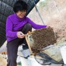 협동조합 라이브 이미지