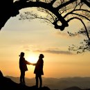 사랑나무 이미지