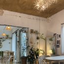 댕냥잇츠 이미지