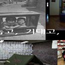 삼우초등학교 이미지