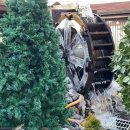 다들식당 이미지