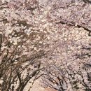 진명주유소 이미지