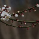 매향농장 이미지