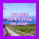 신흥목장 | 3박4일제주패키지 여행사 / 대구공항 / 대구_특가_제주도_3박4일 #관광패키지 #석조
