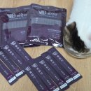 반려동물보감연구소 이미지