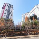 데시앙공인중개사사무소 이미지