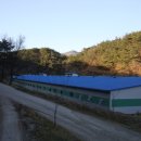 안천농장 이미지