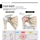 마디추한의원 이미지