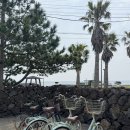 삼달548