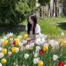 선우공원 생태연못 화장실 | 서울 근교 경기도 부천 까치울역 자연생태공원 튤립축제 명소 봄 나들이 개화현황 포토존 스팟 사진...