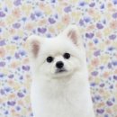 딥잉 산본점 이미지