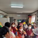 오동골2 Daum카페