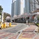 푸른2공인중개사사무소 이미지