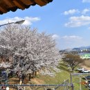 금호강10 이미지