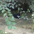 GS25대공원점 이미지