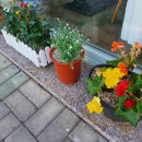 위치어데이 이미지