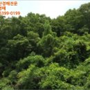 신녕면-가천리-1