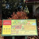 이성농장 | 하와이 여행 필수코스 돌플랜테이션에서 한정판 키티 구매한 후기(돌플랜테이션 간식 추천)