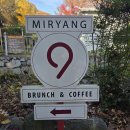 애화꽃식물원 밑 도로 | [밀양] 카페 밀양 9, 식물원? 동물원? 키즈카페보다 더 신나게 놀다온 하루! 오픈런~