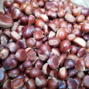 창우농장 이미지