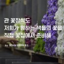 [현진시닝 장례후기] 관 꽃장식도 저희가 원하는 색들의 꽃을 직접 꽃집에서 준비해