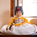 다연재
