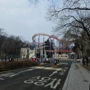 멈추는 사람에겐 기회는 오지 않는다 | 4세 7세 서울랜드 겨울 방문 후기1 : 귀신동굴 예약 가격 베스트키즈 마시멜로우 굽기