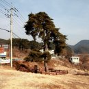 운강한문서당 | [경북 청도] 삼족대 거쳐 선암고택, 운강고택