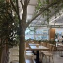 정담푸드 | 역 KTX 출발 전 든든하게 먹기 좋은 한식 맛집 - 정담 (가성비, 내돈내산, 가격, 후기, 메뉴, 영업시간)