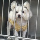 쑥고개로 이미지