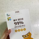 간편한 식사대용 단백질쉐이크 추천!! 요거단백 파주 장단콩 단백질 쉐이크 feat. 내돈내산 다이어트