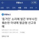 780213 이미지
