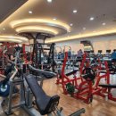 위너스포랜드 이미지