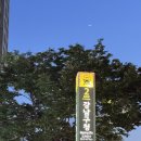 야장 분위기가 끝내주는 안주맛집 강남구청 술집 지안정
