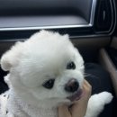 녹산 소주방 네이버블로그