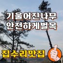 (주)중앙고속 화성정비공장 | 용인 단독주택 소나무 벌목작업 기울어진 나무전지 가지치기