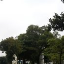 장전초등학교 이미지