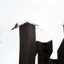 까치공원 조형물 이미지