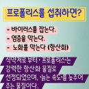 주식회사 타파웨어브랜즈코리아 | 타파웨어 프로폴리스 리뷰