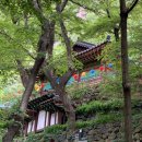 어느 맑은 날 | 구미 금오산 해운사 부처님오신날 후기